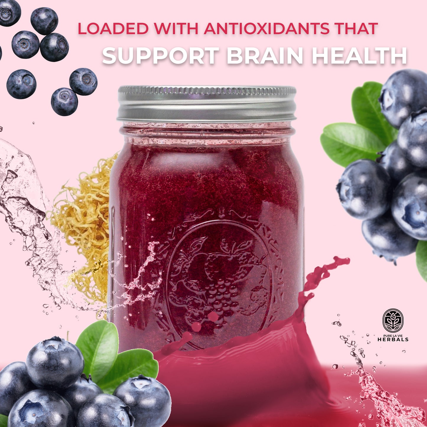 Blueberry Sea Moss Gel – 16oz | Wildcrafted, 92 Minerals, Superfood Gel| Vegan & Kid-Friendly