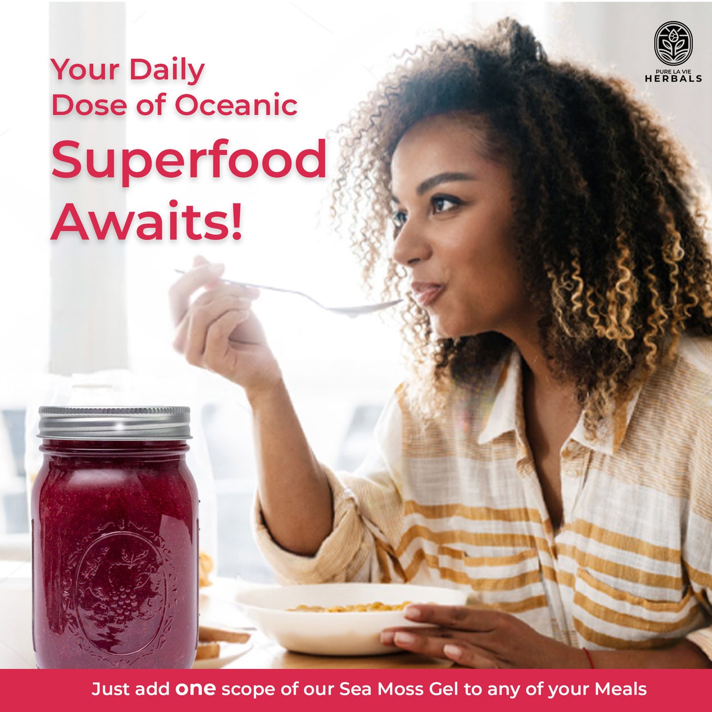 Blueberry Sea Moss Gel – 16oz | Wildcrafted, 92 Minerals, Superfood Gel| Vegan & Kid-Friendly