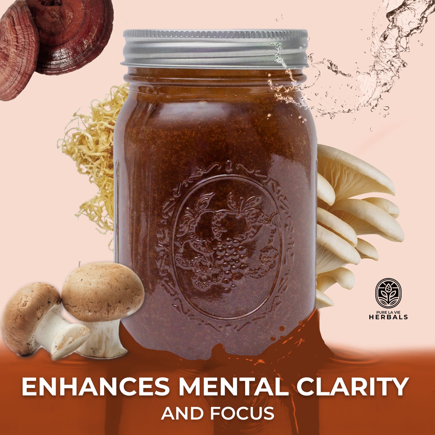 Mushroom Medley Sea Moss Gel – 16oz | Wildcrafted, 92 Minerals, Brain Support | Vegan & Kid-Friendly
