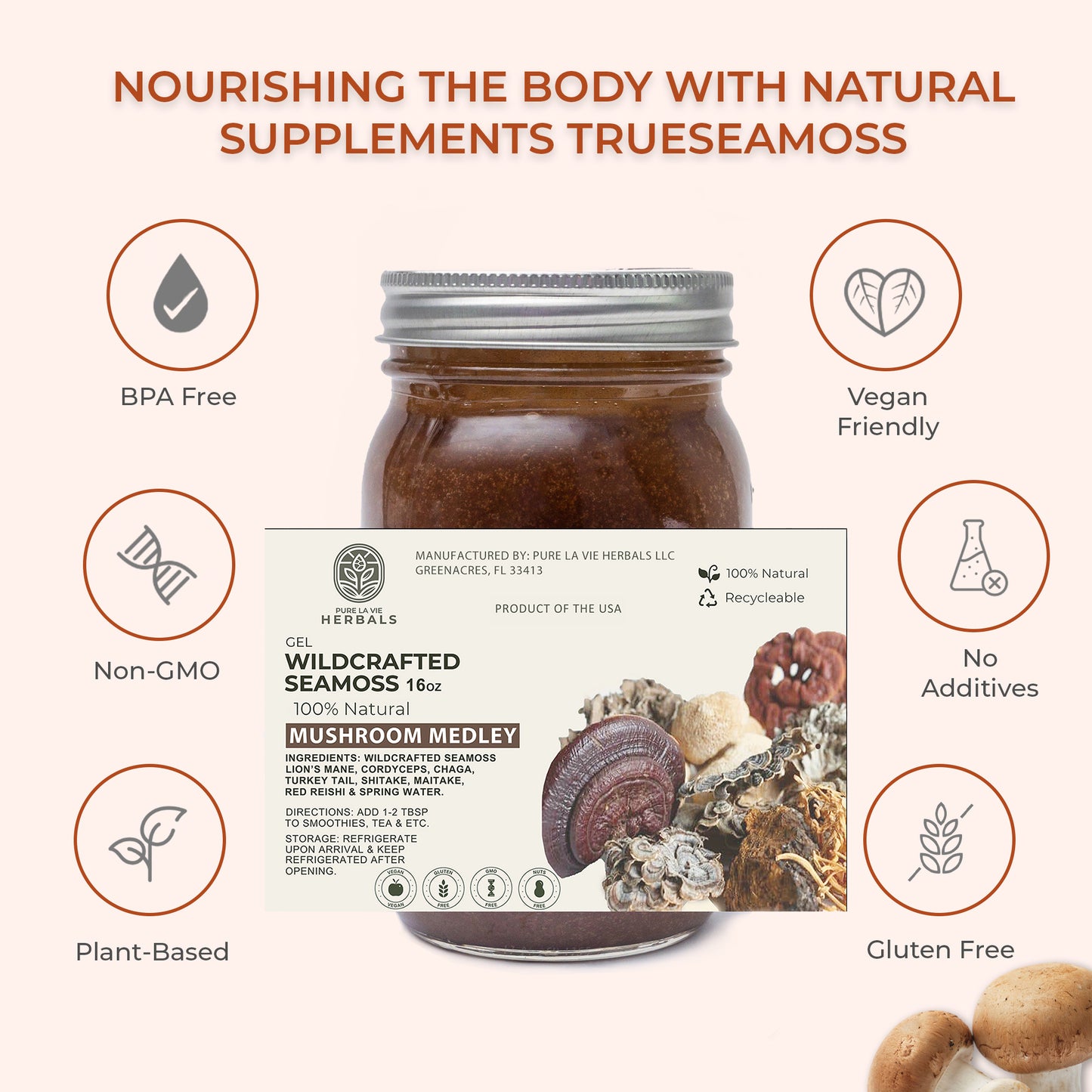 Mushroom Medley Sea Moss Gel – 16oz | Wildcrafted, 92 Minerals, Brain Support | Vegan & Kid-Friendly