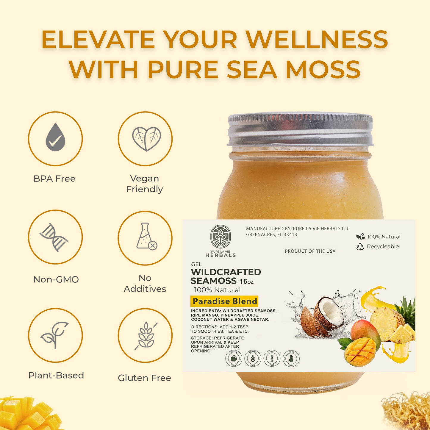 Paradise Blend Sea Moss Gel – 16oz | Mango, Coconut Water & Pineapple Juice Fusion | Vegan & Kid-Friendly