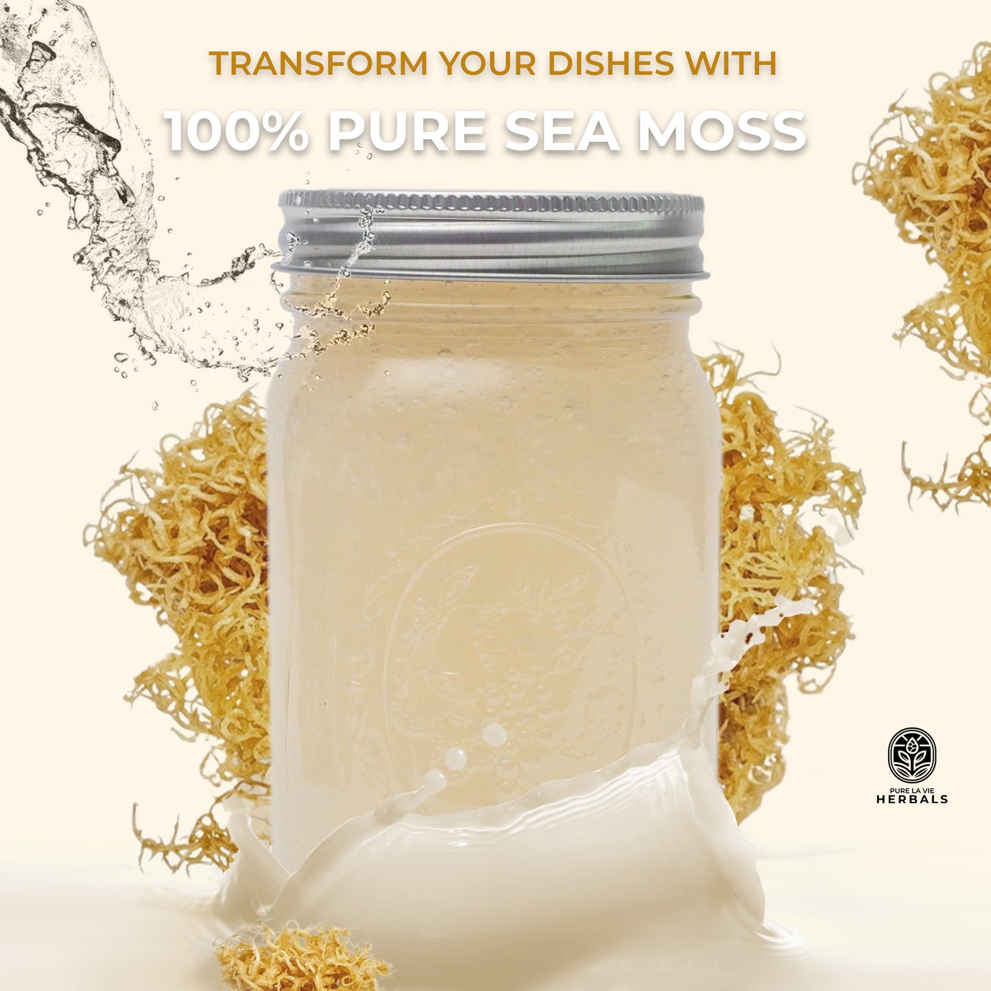 Plain Sea Moss Gel – 16oz | Wildcrafted, 92 Minerals, Pure & Natural Superfood | Vegan & Kid-Friendly