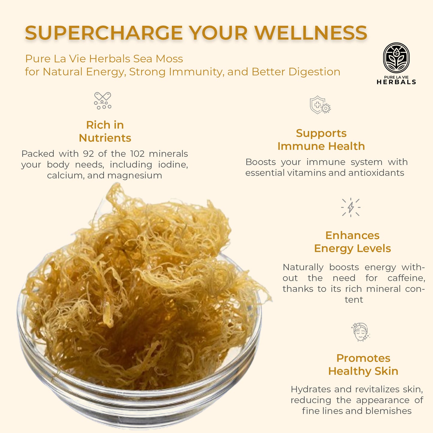 Plain Sea Moss Gel – 16oz | Wildcrafted, 92 Minerals, Pure & Natural Superfood | Vegan & Kid-Friendly
