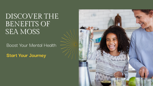🌿 Mood, Energy, and Focus: The Mental Health Benefits of Sea Moss