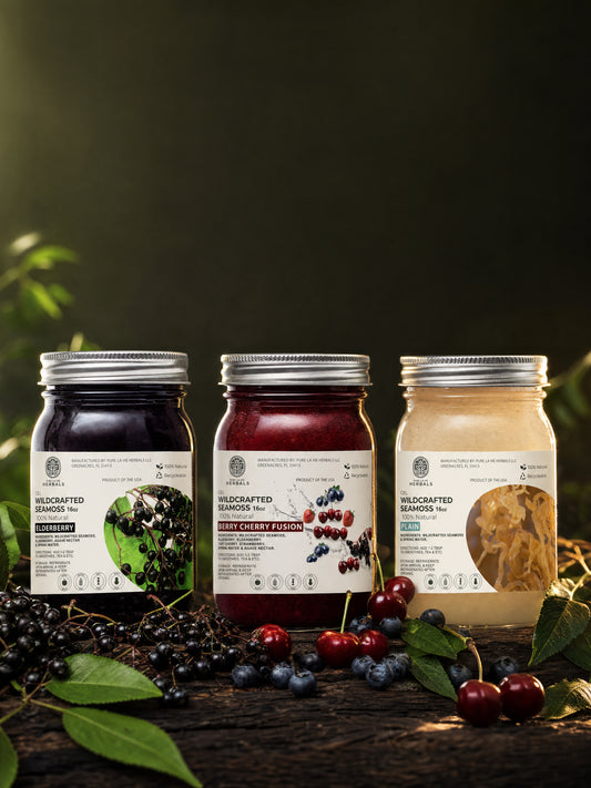 The Immune Shield Bundle — Elderberry, Berry Cherry & Plain Sea Moss Gel